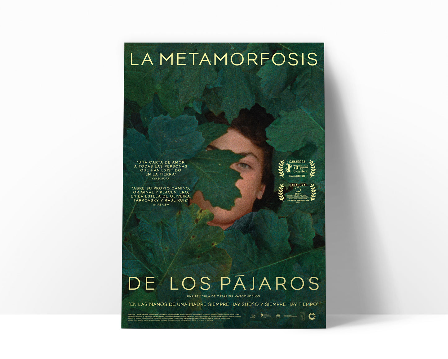 Póster de ‘La metamorfosis de los pájaros’ (Catarina Vasconcelos)